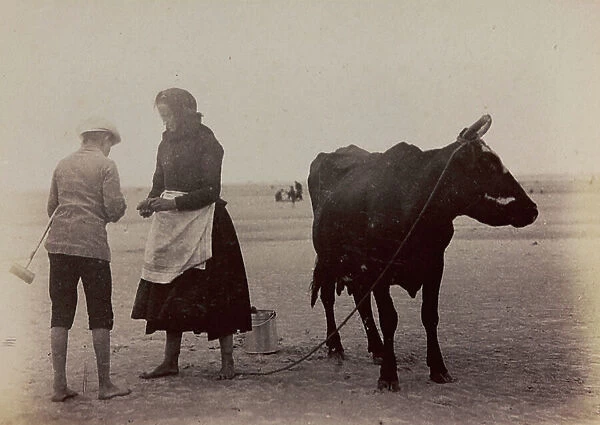 Portrait of woman with a cow on the beach of Berck near Calais