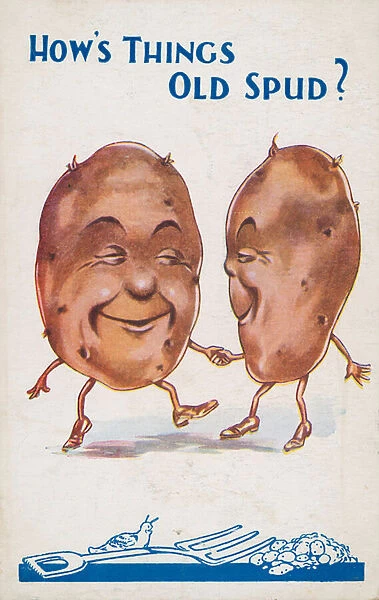 Potatoes, spuds (colour litho)