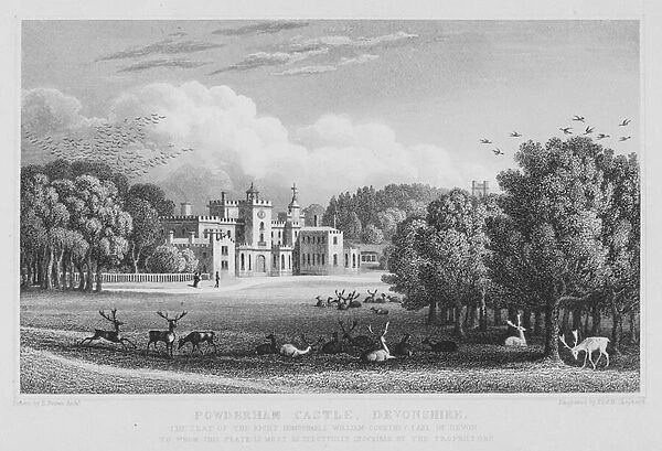 Powderham Castle, Devonshire (engraving)