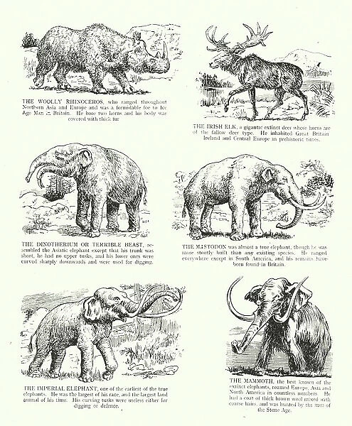 Prehistoric and extinct animals (litho)