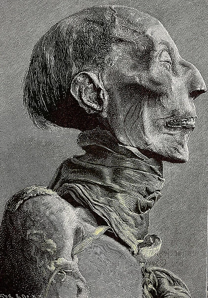 Profile of the mummy of Ramses II (1290 -1237 BC), discovered in Egypt, during excavations - Lithography of a photograph Head of the mummy of Ramesses II, Ramses the Great, ca 1303 - 1213 BC