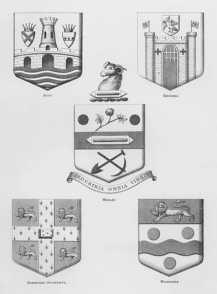 Public arms: Athy; Swansea; Morley; Cambridge University; Maidstone (engraving)