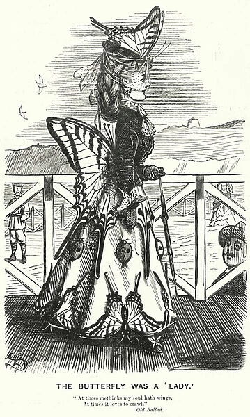 Punch cartoon: The Butterfly Was a Lady - Victorian womens fashions (engraving)