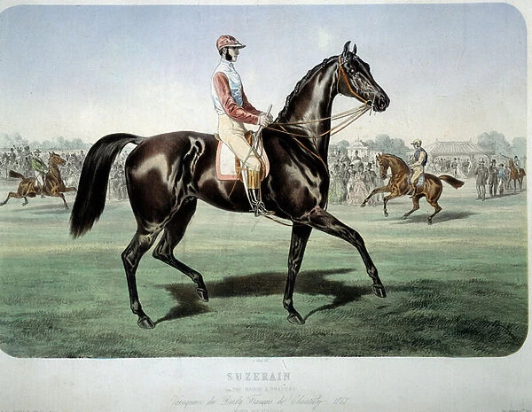 Racing: 'Suzerain, winner of the Chantilly derby in 1868'