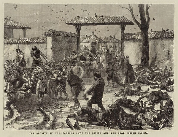 The Reality of War, Carting away the Living and the Dead inside Plevna (engraving)