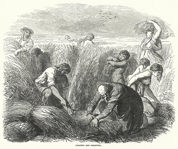 Reapers and Gleaners (engraving)