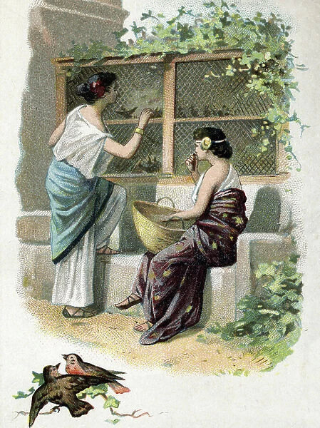 Rearing of thrushes at the times of the roman empire. 19th century (chromolithograph)
