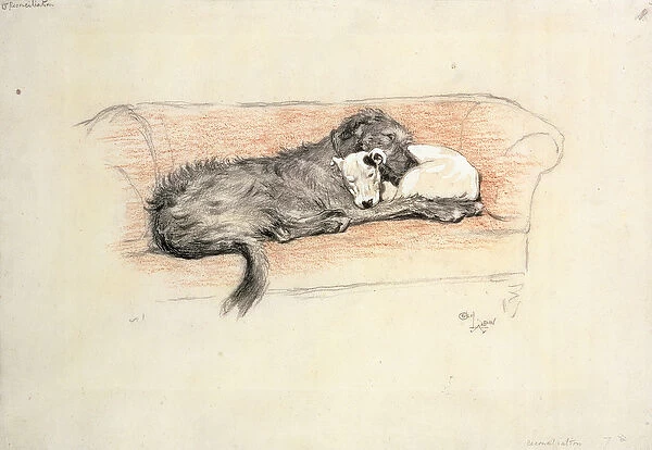 Reconciliation; Wolfhound and Bull Terrier Asleep in a Sofa (pastel on paper)