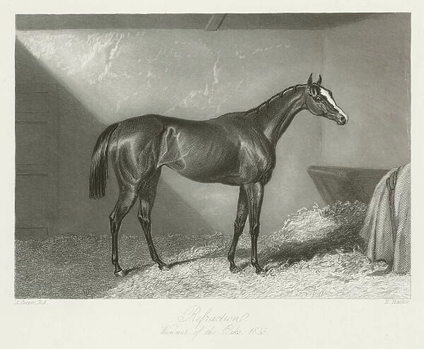 Refraction, foaled 1842 (b  /  w photo)