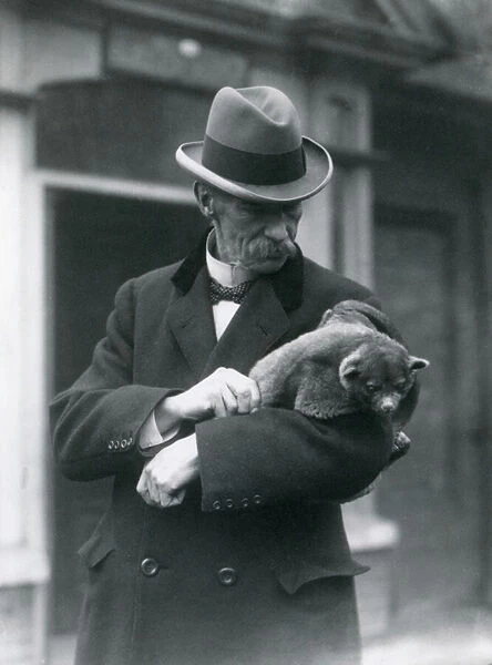 Reginald Innes Pocock F. R. S. holds a kinkajou, London Zoo, 1923 (b  /  w photo)