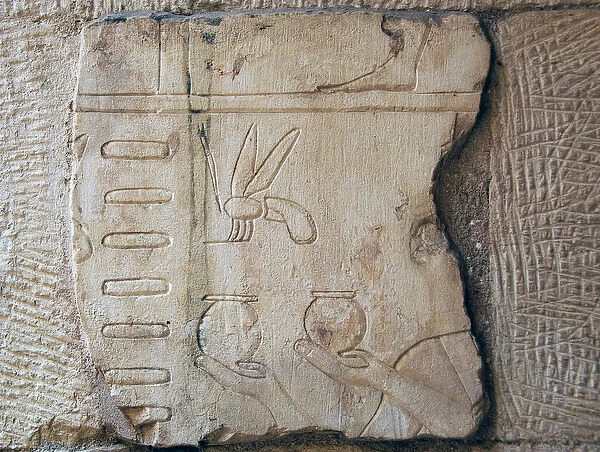 Detail of a Relief, Luxor (stone)