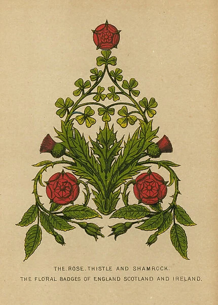 The Rose, Thistle and Shamrock. The Floral Badges of England, Scotland and Ireland