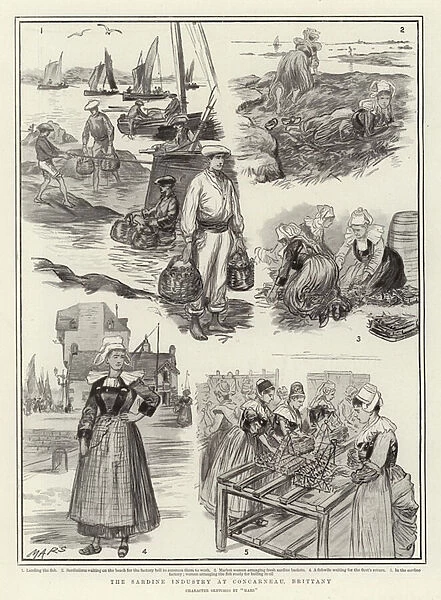The Sardine Industry at Concarneau, Brittany (litho)