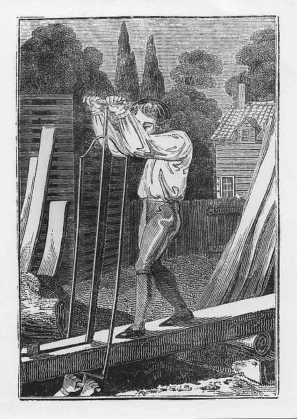 The Sawyer, from The Young Tradesman or Book of English Trades, 1839 (engraving)