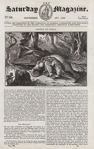 Scenes in India, alligator and dead elephant (engraving)