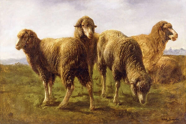 Sheep Grazing in a Meadow, (oil on canvas)