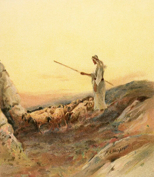 A shepherd counting his sheep