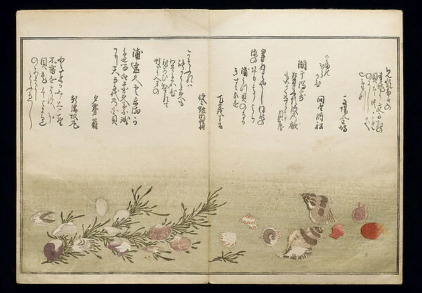 Shiohi no tsuto (Gifts from the Ebb Tide), known as the Shell Book
