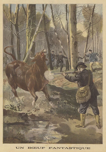 Shooting of an escaped bull (colour litho)