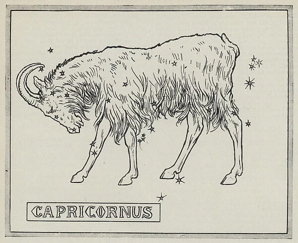 Signs of the zodiac: Capricornus (engraving)
