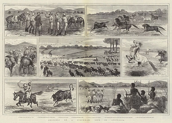 Sketches of a Stockmans Life in Australia (engraving)