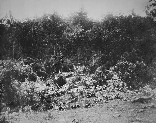 Slaughter Pen, Foot of Little Round Top, Gettysburg, July 1863 (b  /  w photo)