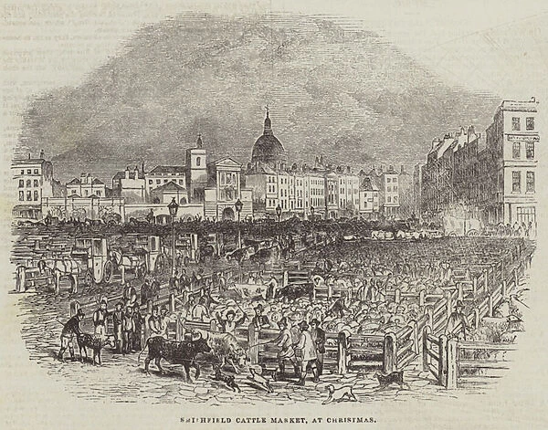 Smithfield Cattle Market, at Christmas (engraving)