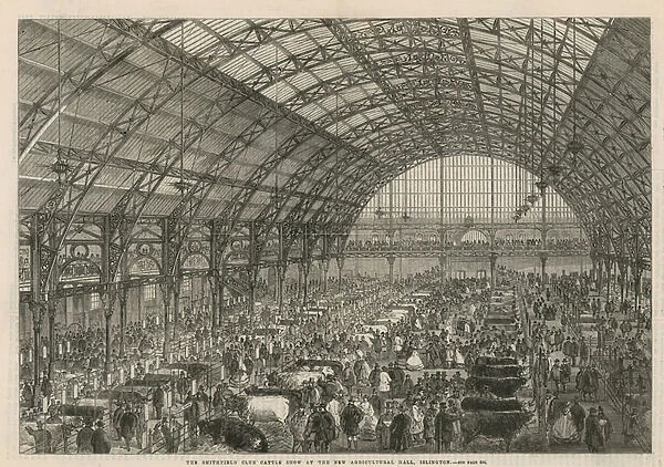 The Smithfield Club Cattle Show at the new Agricultural Hall (engraving)