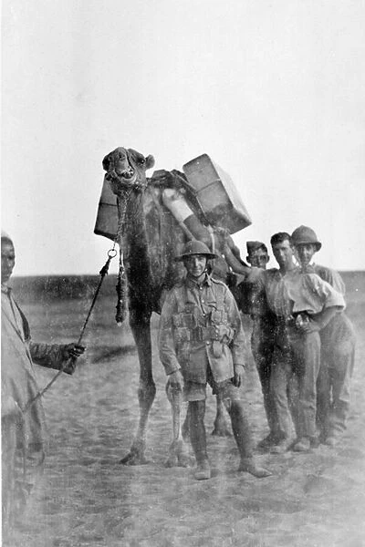 Soldiers in Mesopotamia during World War One (b  /  w photo)