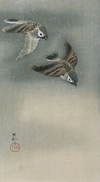 Sparrows in flight (colour woodblock print)