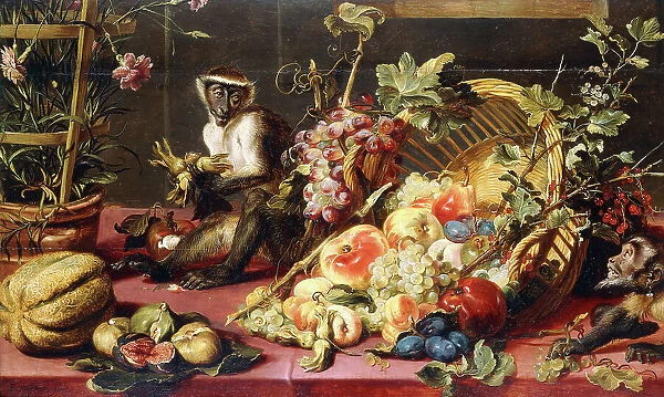 A Spilled Basket of Fruits on a Draped Table with Monkeys, (oil on panel)