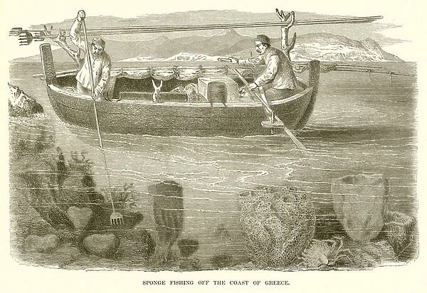 Sponge Fishing off the Coast of Greece (engraving)