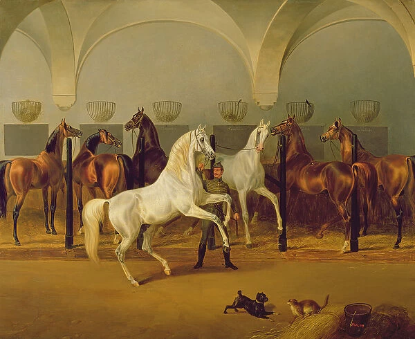 The Stables at Babolna, 1849