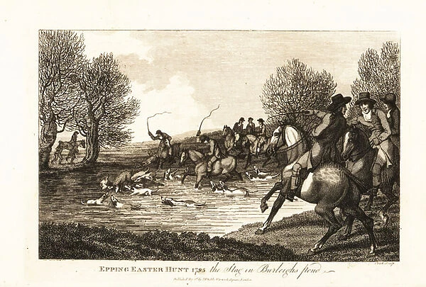 Stag hunters and hounds hunting a calf deer in the Epping Easter Hunt, 1795