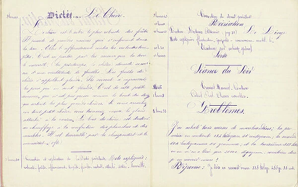 Student notebook: 'The oak' dictation and problems, 1882 (handwritten)