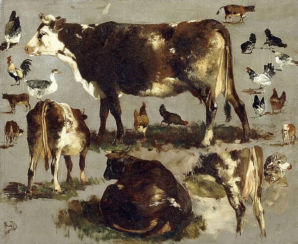 Studies of Cows, Hens, Roosters, a Goose and a Sheep, (oil on canvas)
