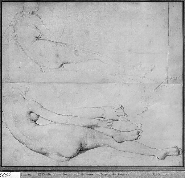 Studies for The Grande Odalisque (graphite on paper) (b  /  w photo) (see also 233243)