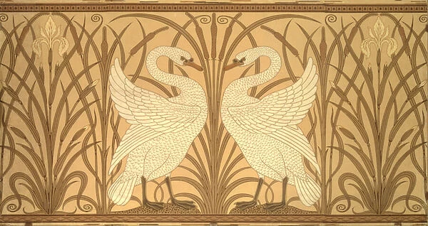 Swan wallpaper design