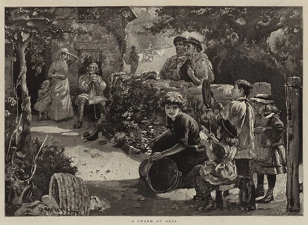 A Swarm of Bees (engraving)
