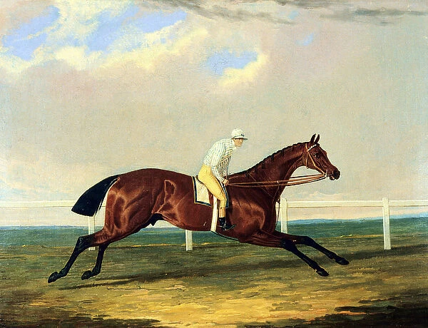 Tarrare ridden by George Nelson (oil on canvas)