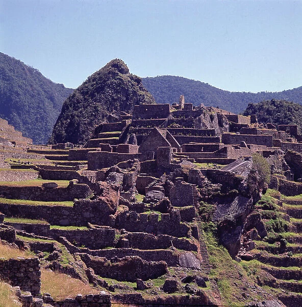 Terrace buildings of the citadel at Machu Picchu (photo)