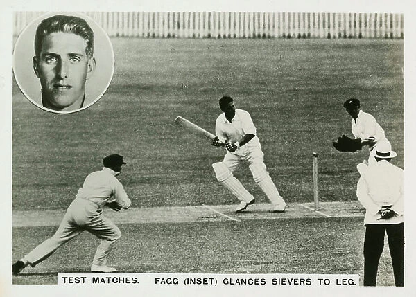 Test matches, Fagg (inset) glances Sievers to Leg (b / w photo)
