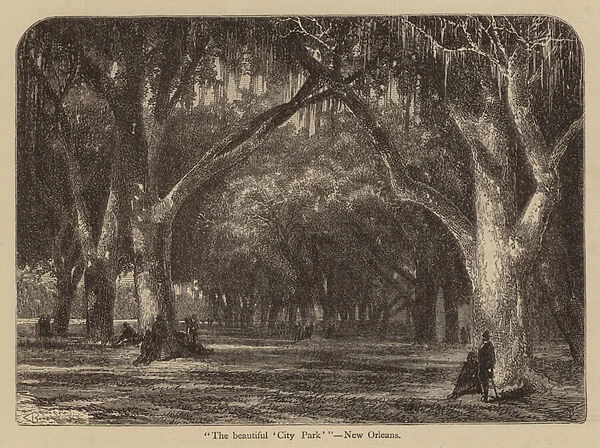 'The beautiful City Park ', New Orleans (engraving)