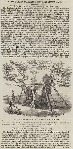 'The Parliament Oak, 'Sherwood Forest (engraving)
