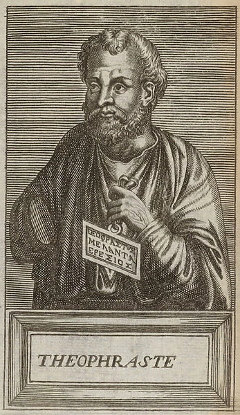 Theophrastus (engraving)