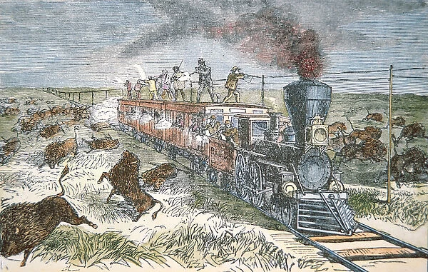 Train Passengers on the Kansas Pacific Railroad, shooting buffalo for sport in