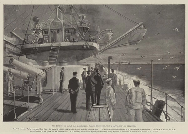 The Training of Naval War Messengers, Carrier Pigeons leaving a Battle-Ship off Plymouth (litho)