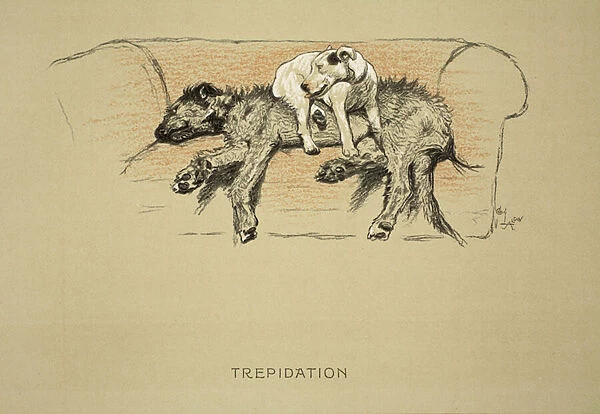 Trepidation, 1930, 1st Edition of Sleeping Partners, Aldin