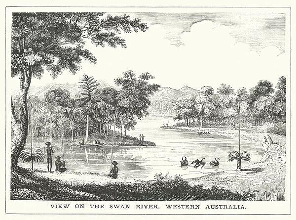 View on the Swan River, Western Australia (engraving)