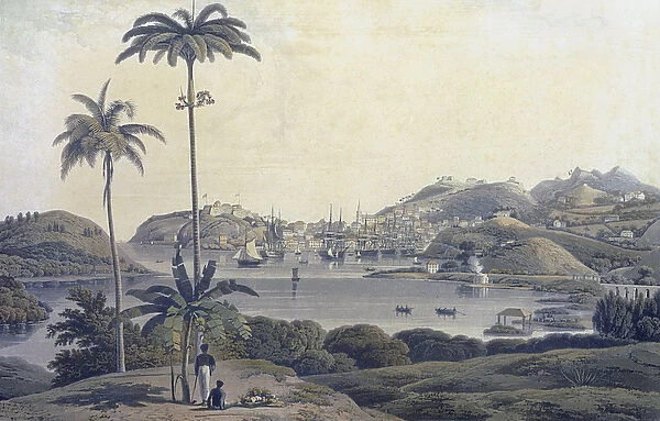 A View of the Town of St. George on the Island of Grenada, taken from the Belmont Estate